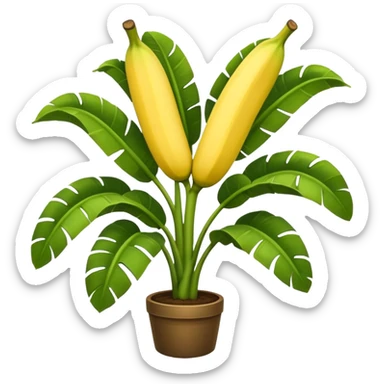 Banana plant tree sticker