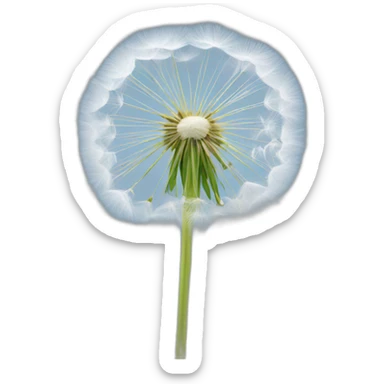Dandelion seed sticker