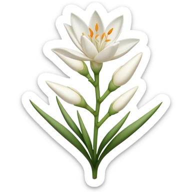 tuberose sticker