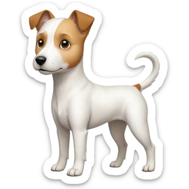 a full body white parson russell looking dog the size of a kelpie with light brown ears and a light brown patch on one eye and a large snout sticker