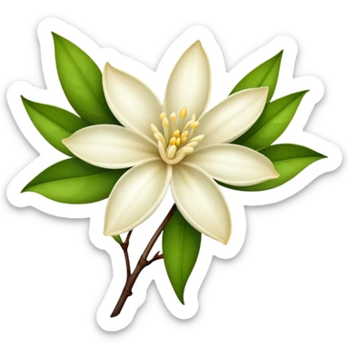 Vanilla Flower With Pods And Leaves, Vanilla Flower, sticker