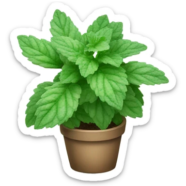 variegated mint plant sticker