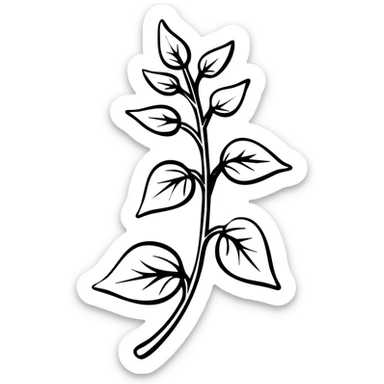 Fresh basil herb with detailed leaves on stems, botanical illustration sticker