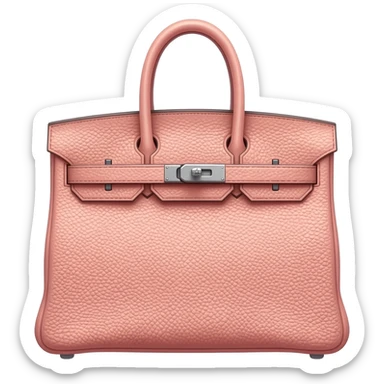 flesh color birkin hermes bag sticker