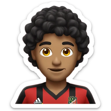 flamengo fan  sticker