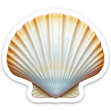 miniature white scallop shell, Camino de Santiago sticker