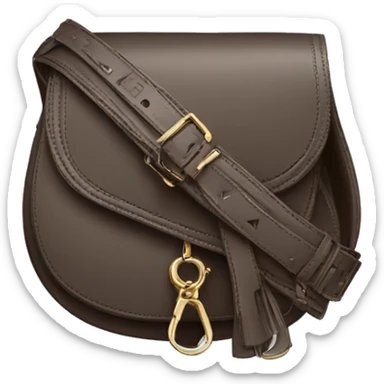 dior saddle bag sticker