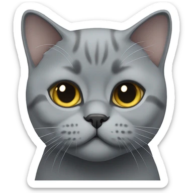 Grey british shorthair sticker