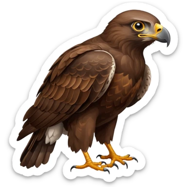 Common Buzzard sticker