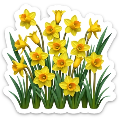 Daffodils sticker