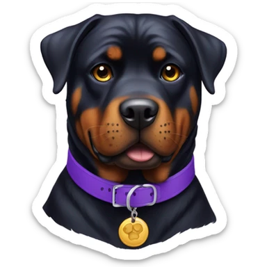  Rottweiler with a purple collar  sticker