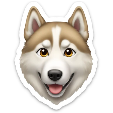 Playful Siberian husky with tan colored fur  sticker