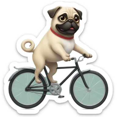 Pug on bycicle sticker