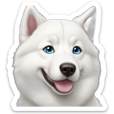 Young White Siberian husky smile  blue eyes sticker