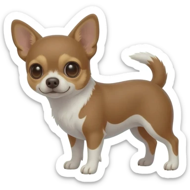 Chihuahua marron et blanc au ventre sticker
