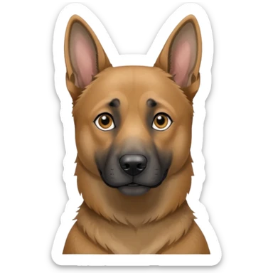 chien Malinois croisé, couleur grise, yeux gris et poils mi long sticker