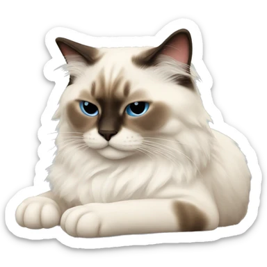 Ragdoll cat sleeping sticker