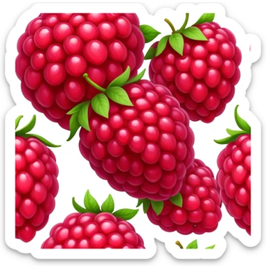 framboise fruit sticker