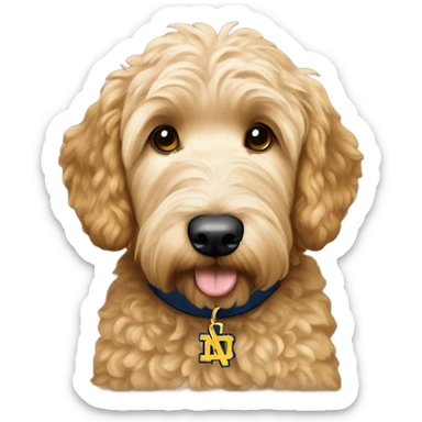 Goldendoodle with notre dame sticker