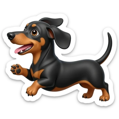 Dachshund Throws a zig sticker