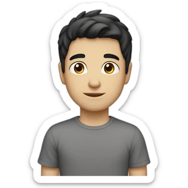 Boy white skin black hair brown eyes gray t-shirt sticker