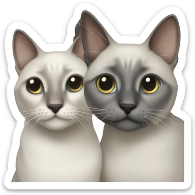 Two grey cats siamese  sticker