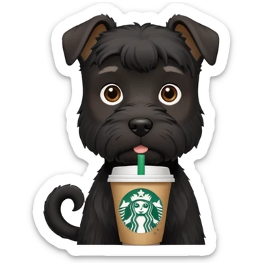 All Black schnauzer with a Starbucks cup sticker
