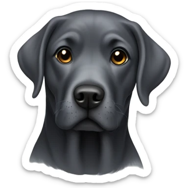 Charcoal colored English Labrador sticker