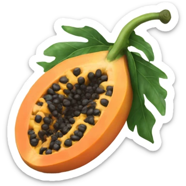 Realistic Papaya  sticker