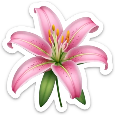 lily flower with pink petals sticker