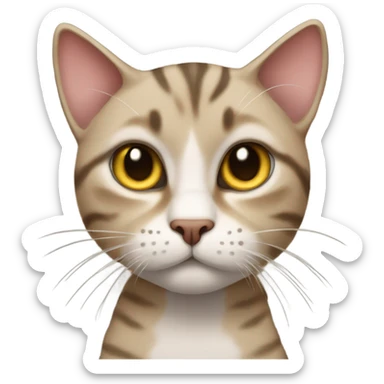 Femine cat that is really a tabby angry boy cat sticker