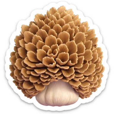 maitake hen of the woods mushroom cluster sticker