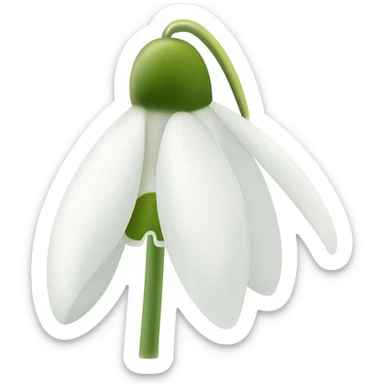 Snowdrop flower sticker