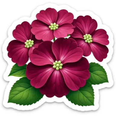 Hortensia bordeaux  sticker