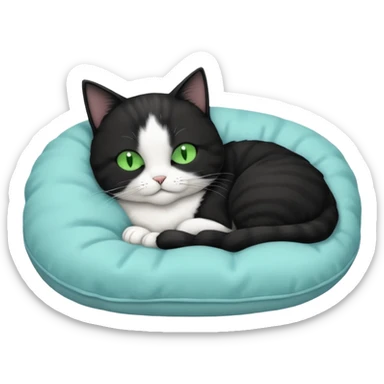 tuxedo short haired cat with green eyes sleeping in a lightblue pillow sticker