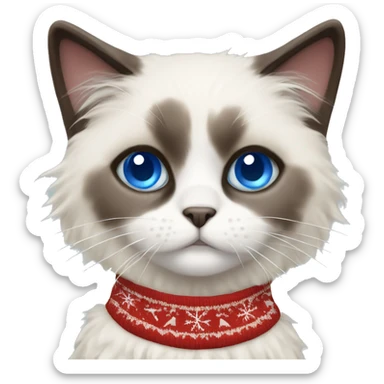 Ragdoll with blue eyes wearing a christmas sweater sticker