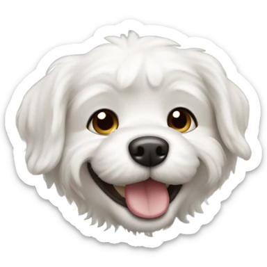 perro bichón maltes sonriendo sticker