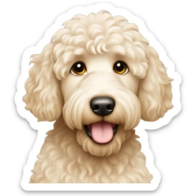 Cream color labradoodle dog  sticker