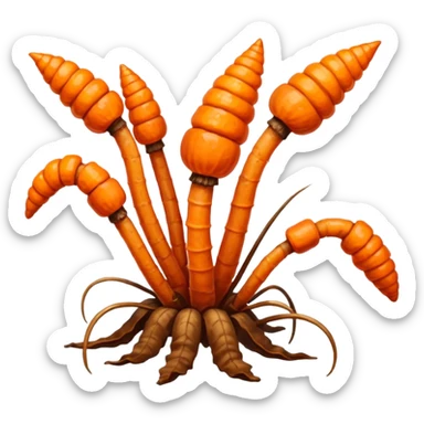 Cordyceps mushrooms sticker