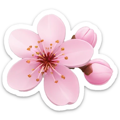 cherry blossom sticker