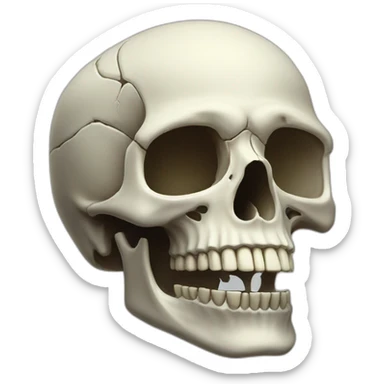 Skull skeleton sticker
