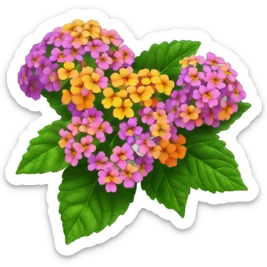 Lantana flower plant  sticker