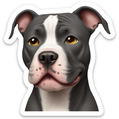 Pitbull  sticker