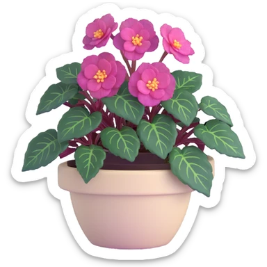 Begonia Rex with dark green leaves, purple edges, white spots in the middle, and distinct spiral centers where each leaf grows from, in a beige pot sticker