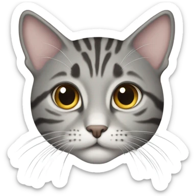 A grey tabby cat missing its owner  sticker
