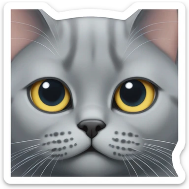 british shorthair cat  sticker