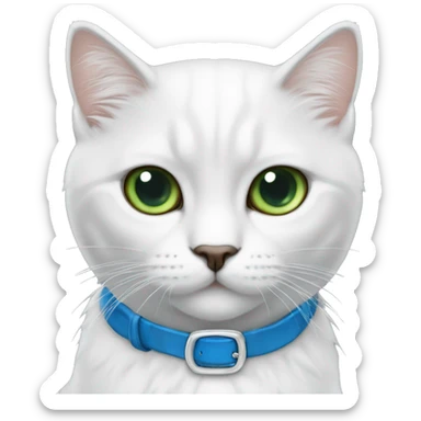 Gato blanco persa con 1 ojo verde y 1 ojo azul, tiene un collar azul con el nombre de CÁSPER sticker