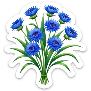 luxuriant, big bouquet Cornflower, stem, leaf sticker