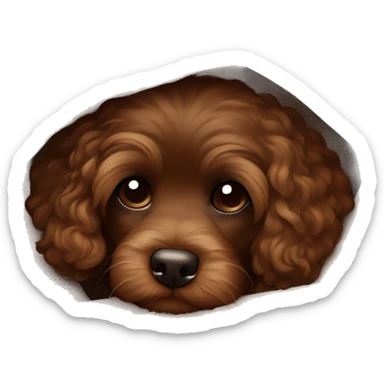 Dark Brown Cavapoo wrapped up in a cozy brown blanket, peeking out, giving off ultimate warmth and comfort vibes. sticker