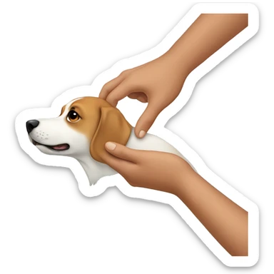 Human hands on a dog healing sticker